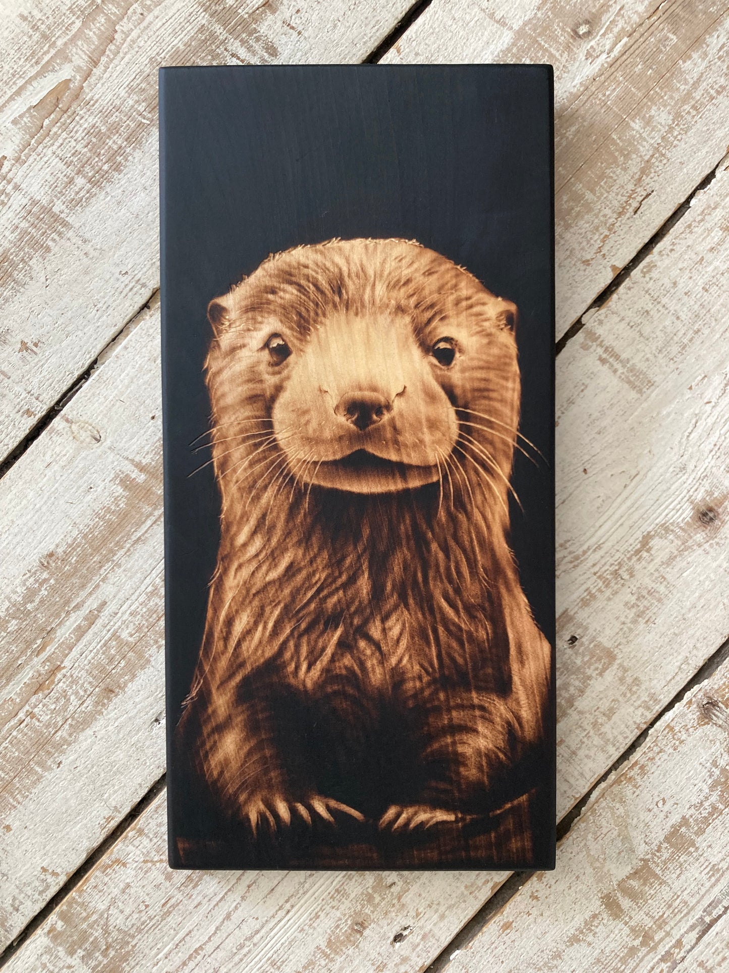 Dark Otter