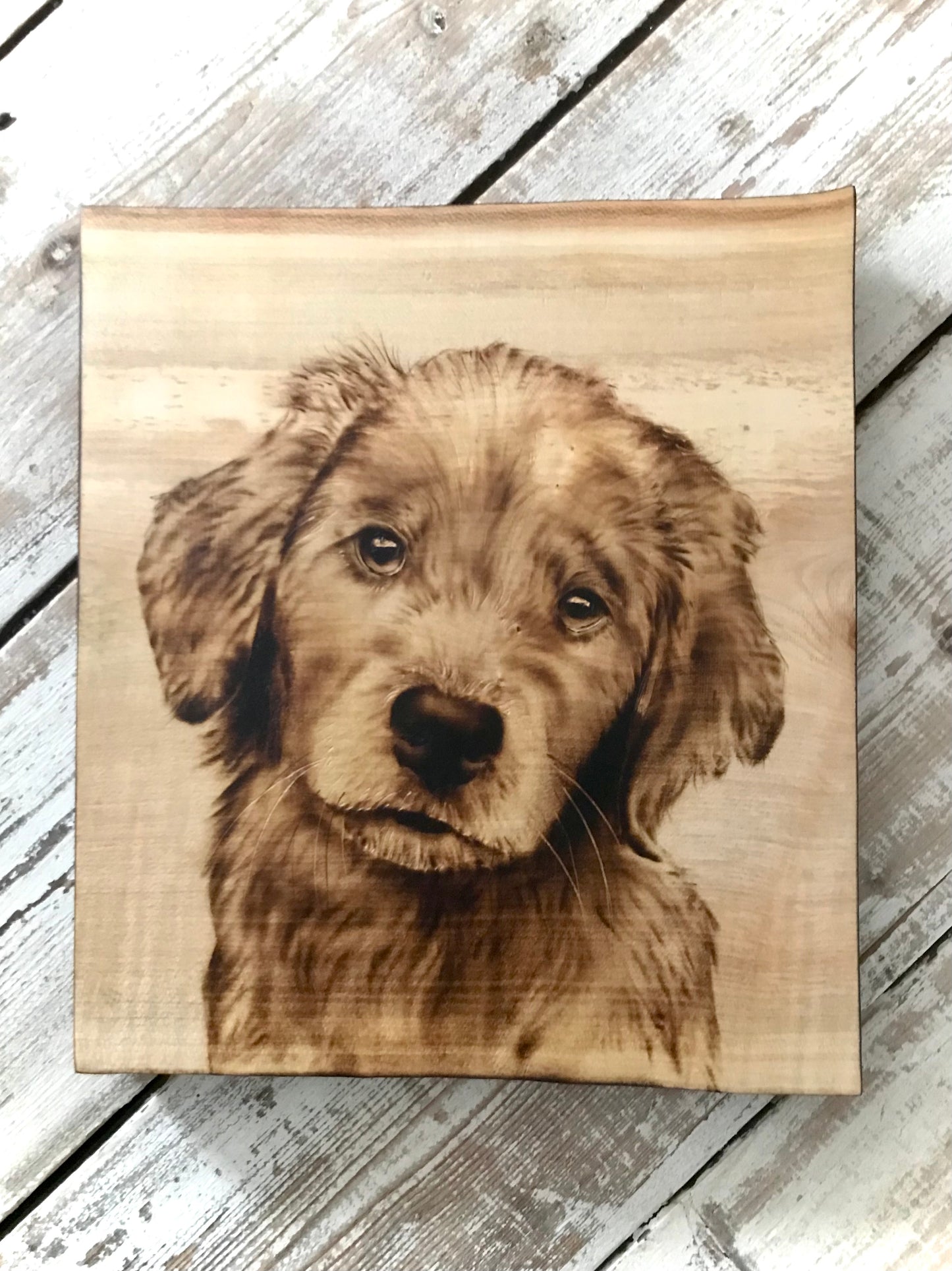 Puppy Lab