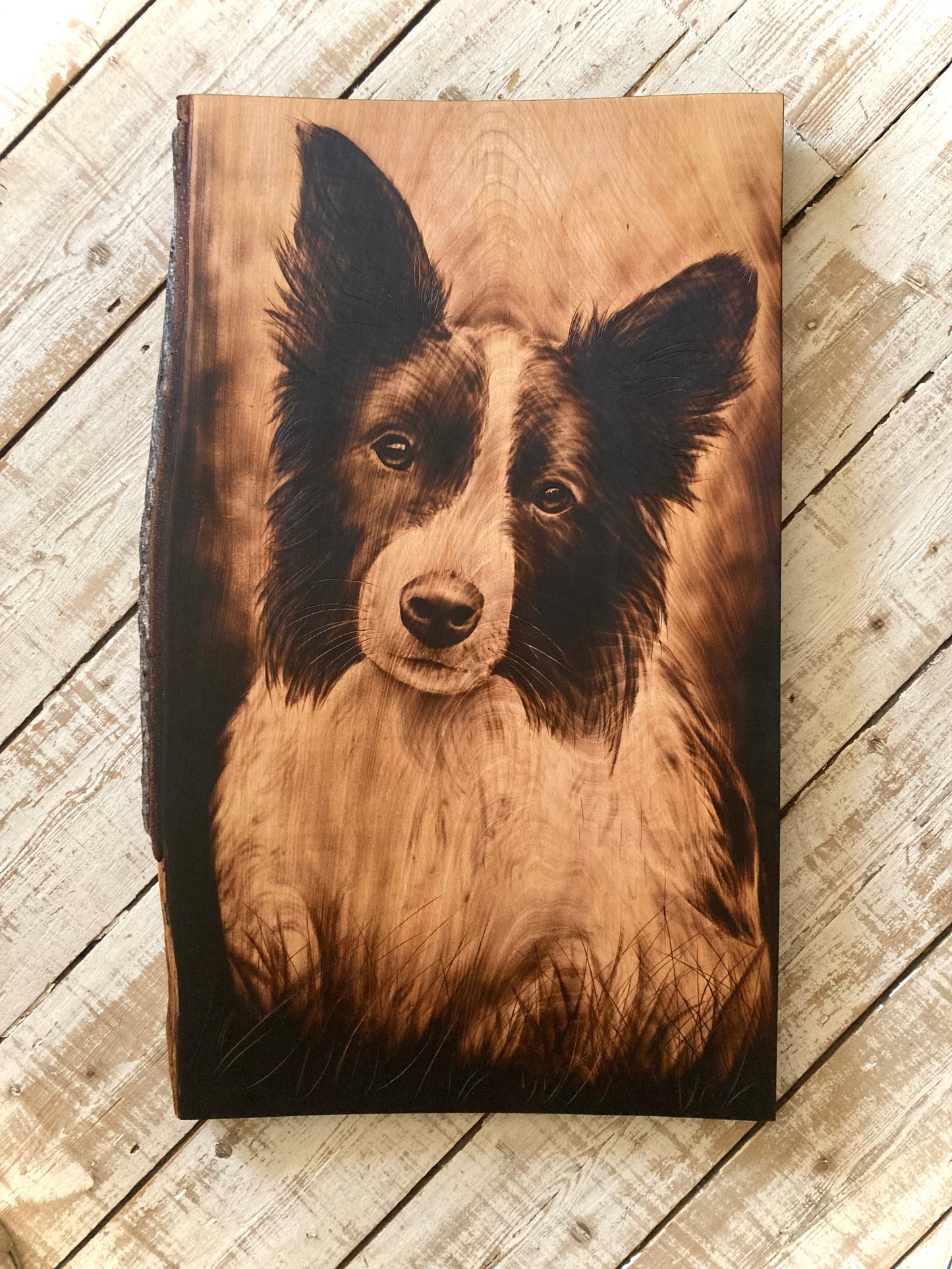 Large Collie