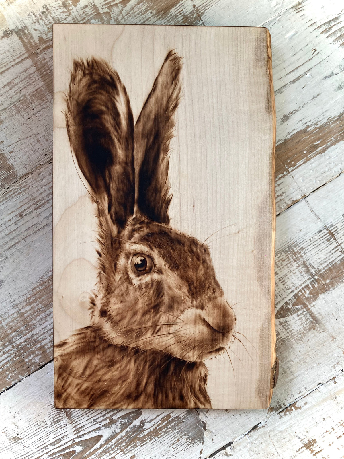 Scruffy Hare