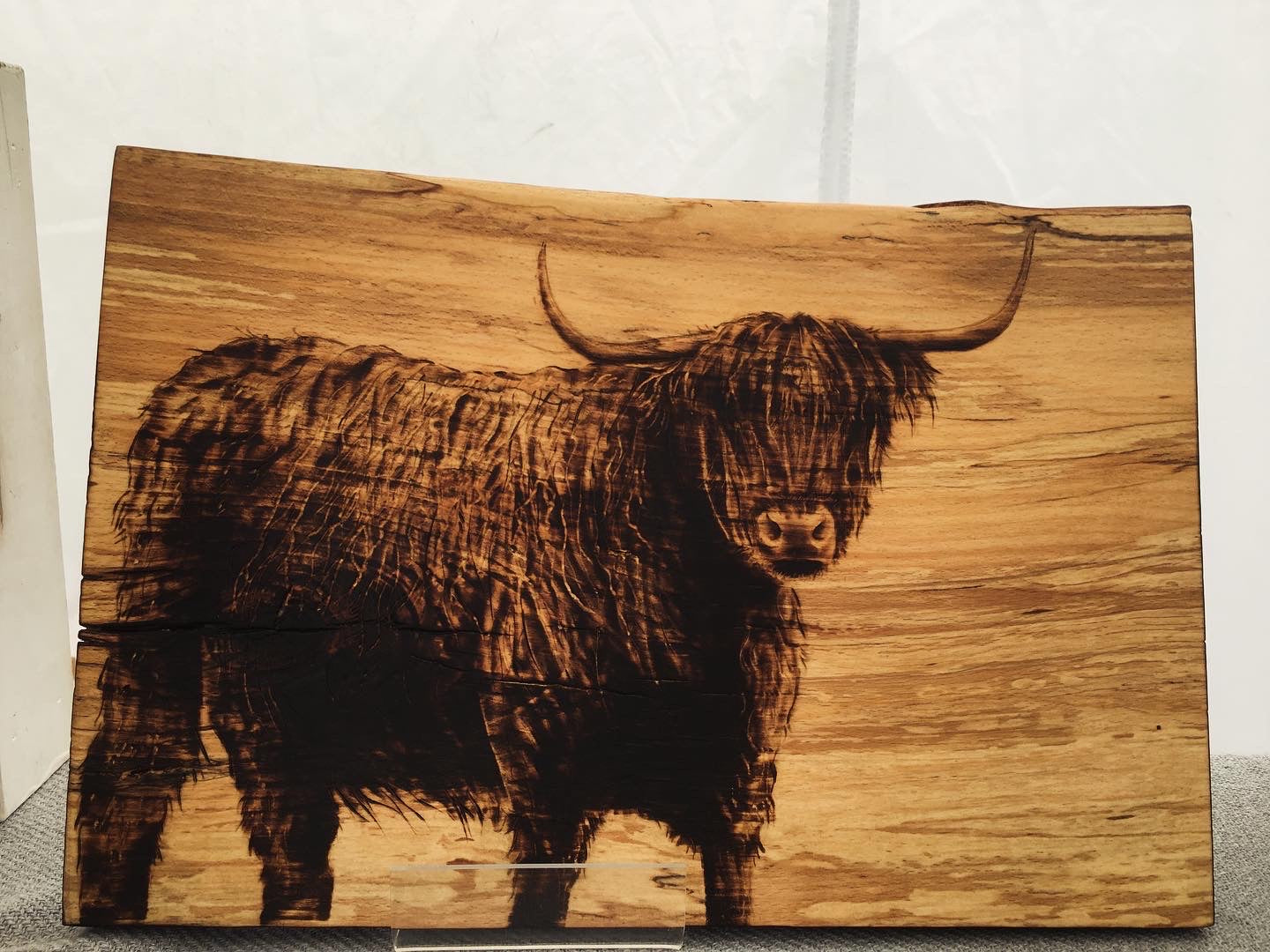Highland cow one off wall decor