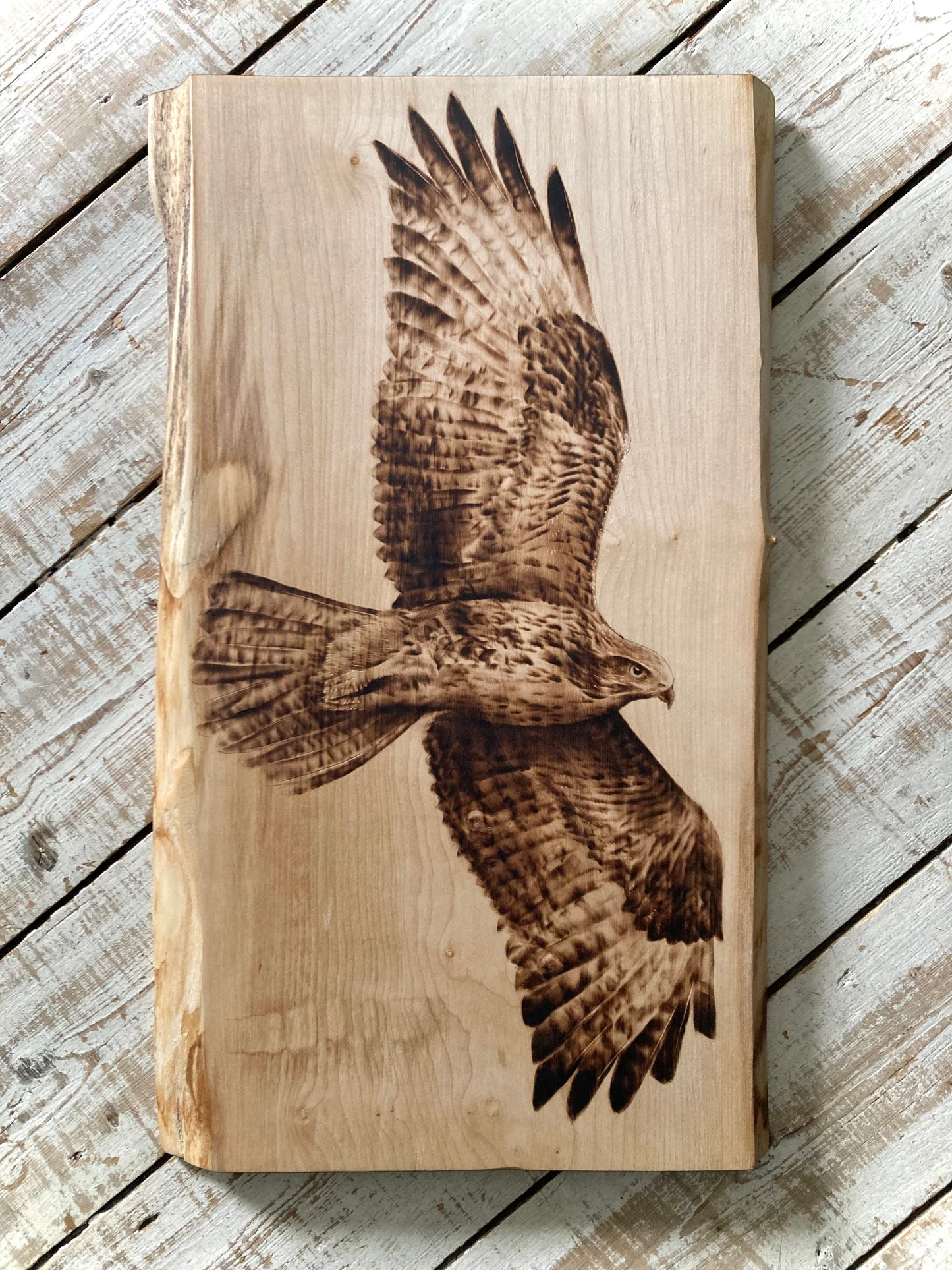 Large Buzzard