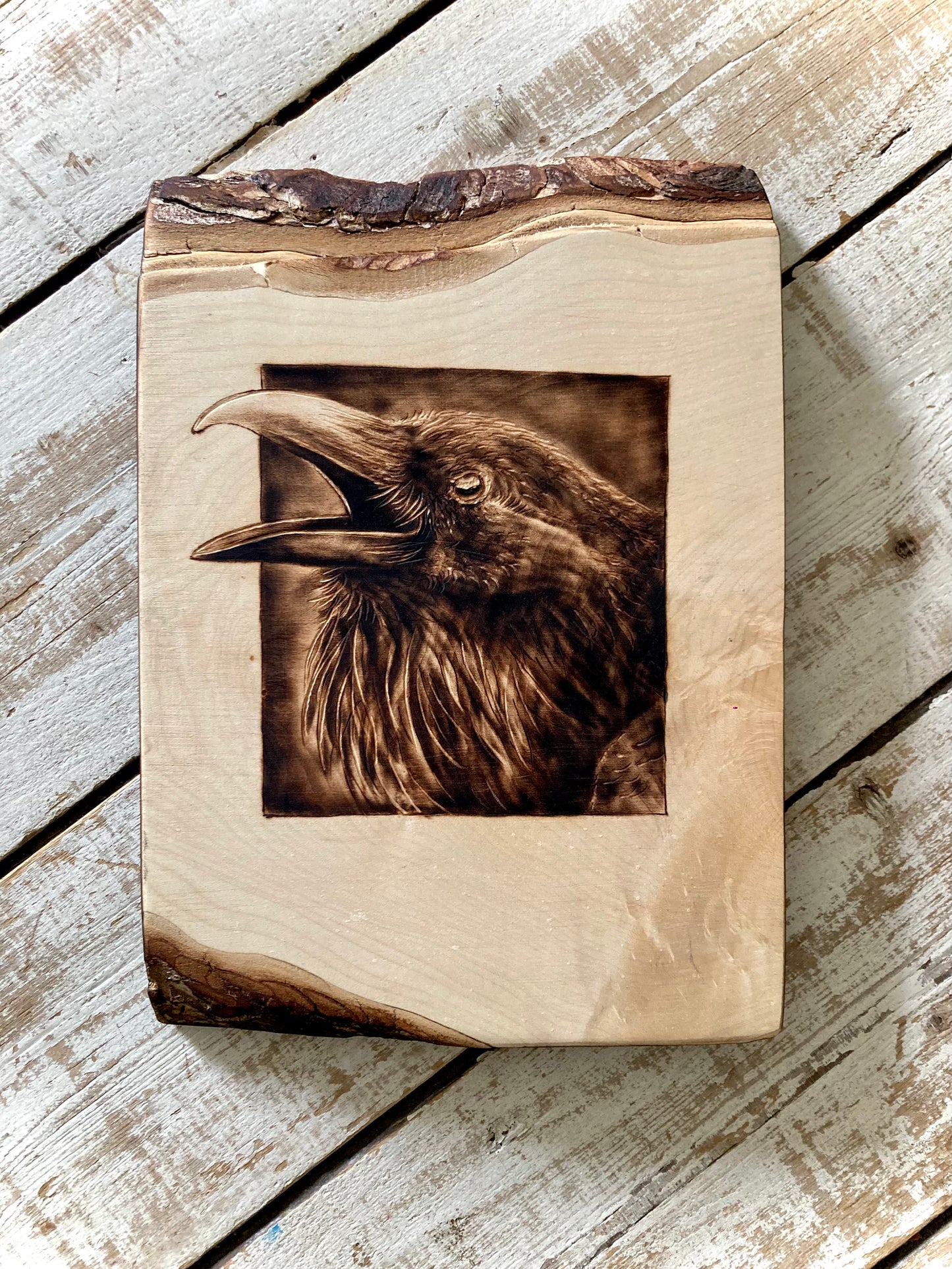 Raven at the window