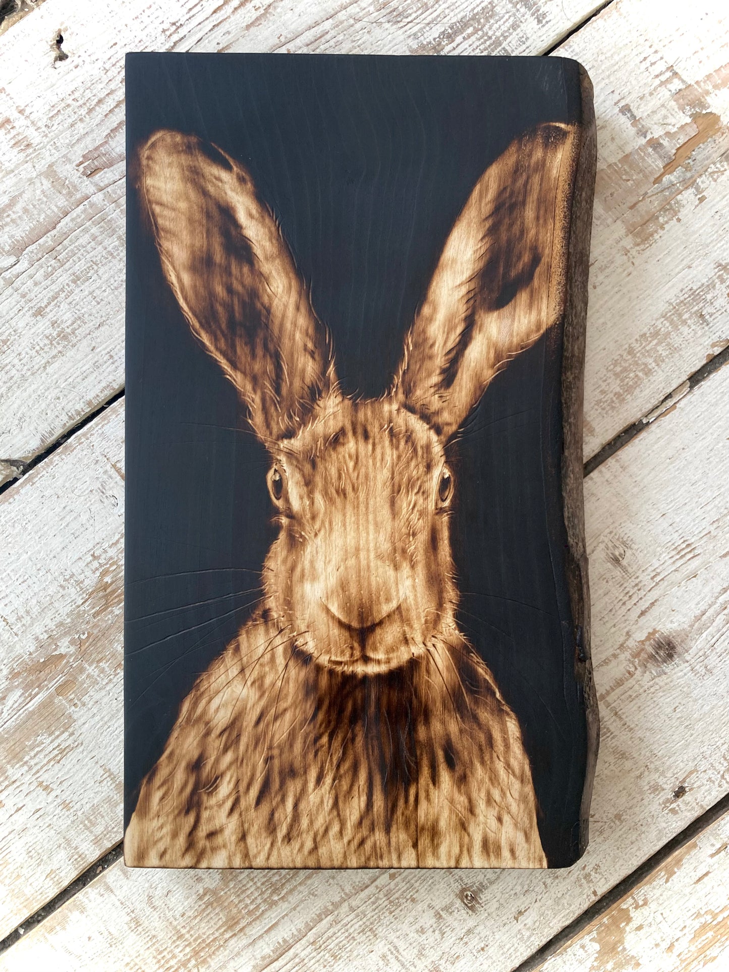 Dark Hare