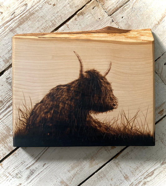 Highland cow wall decor