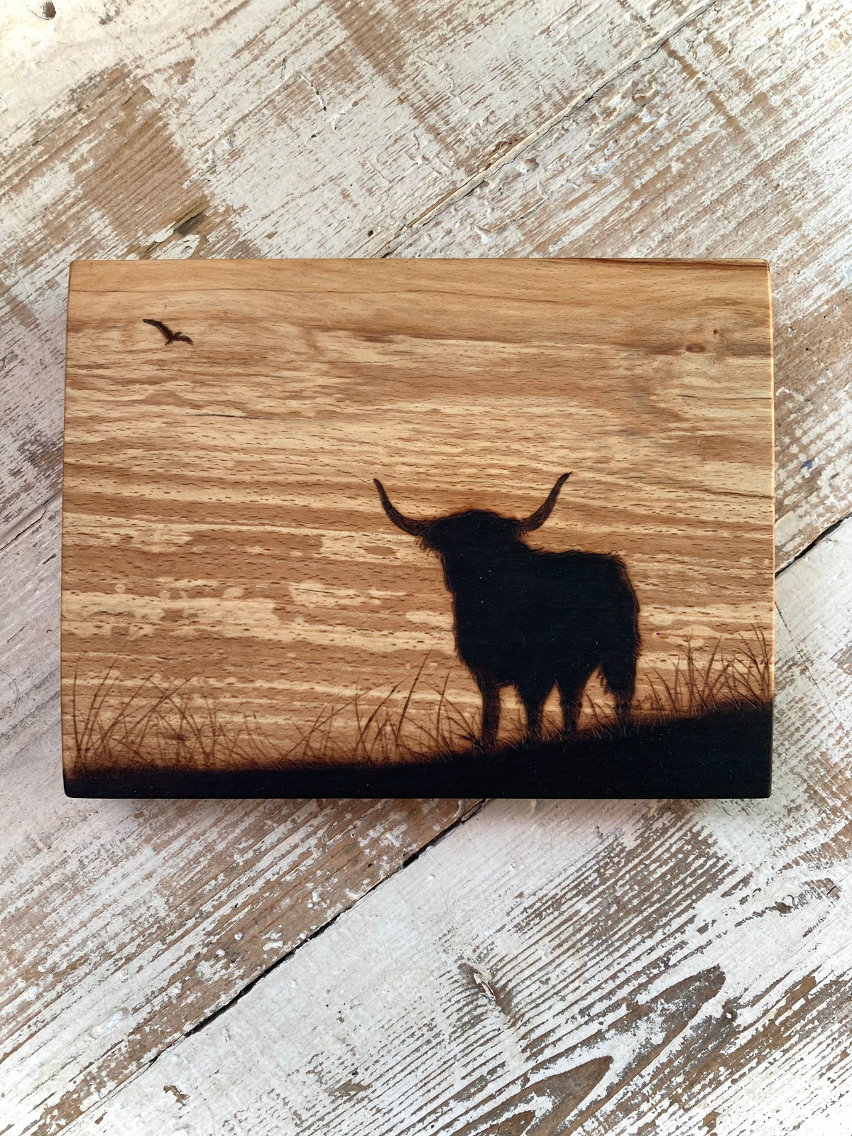 Highland Cow block