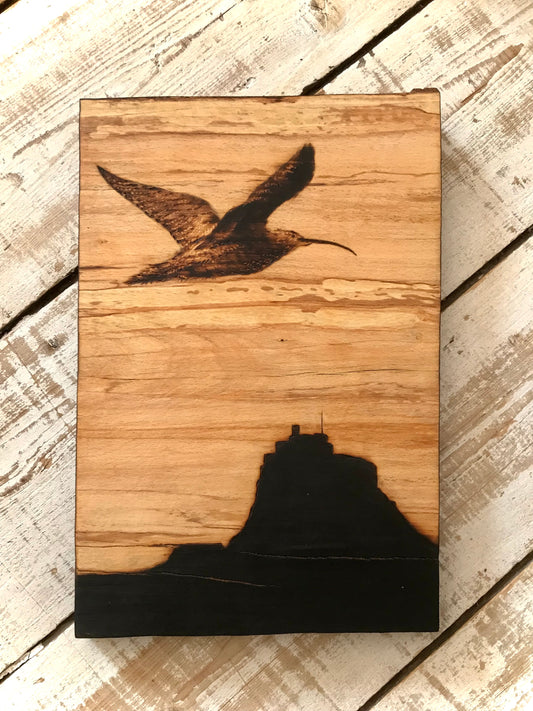 Curlew & Castle