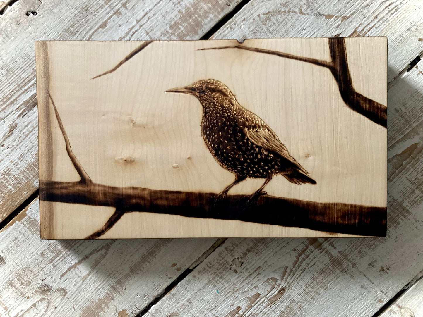 Starling wall decor