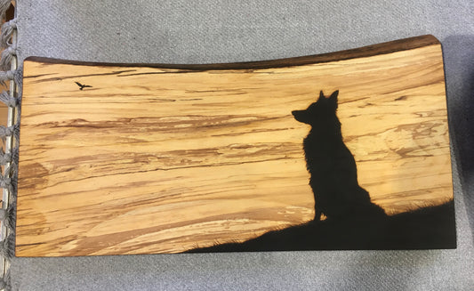 Silhouette Collie