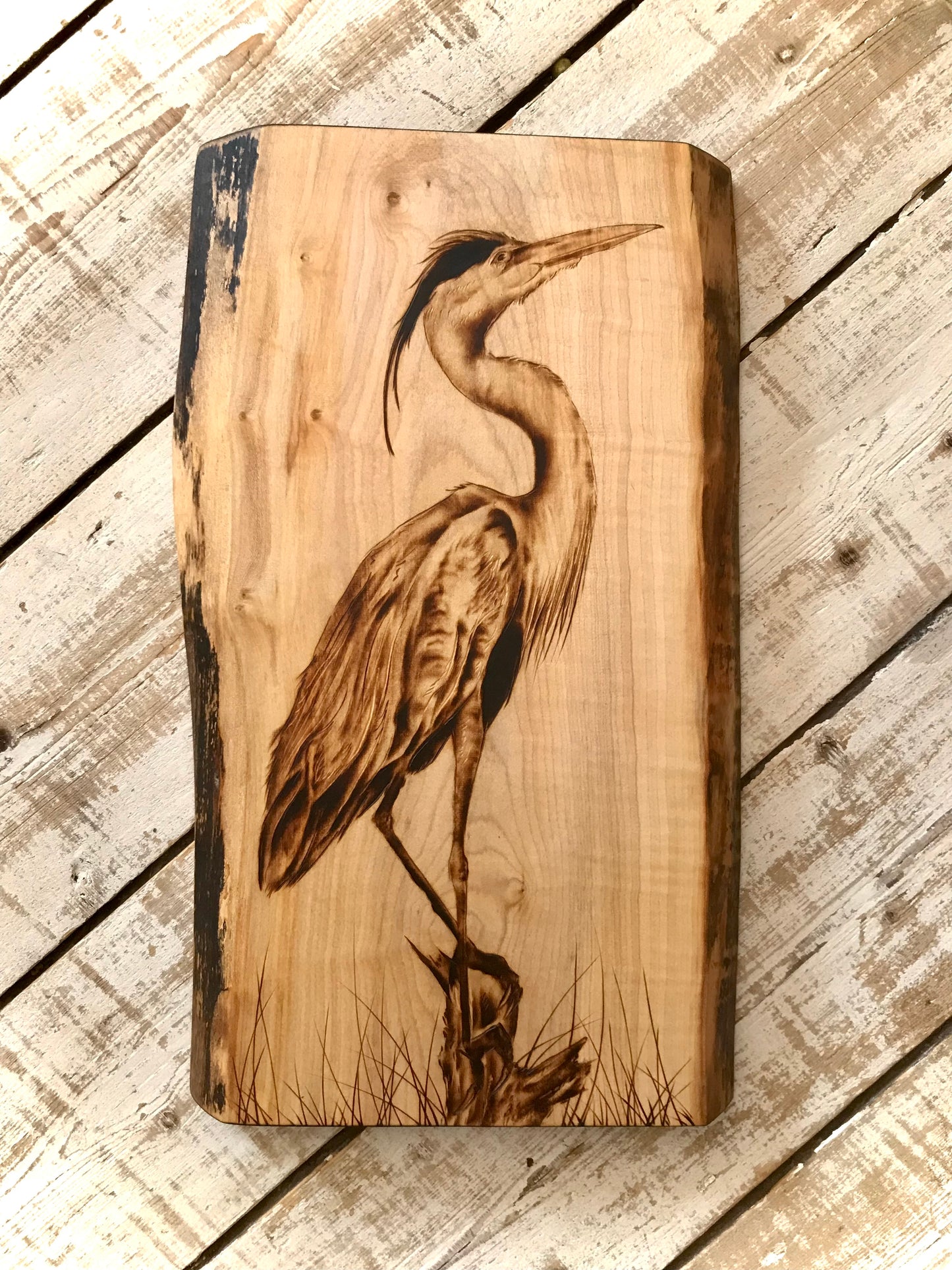 Detailed Heron