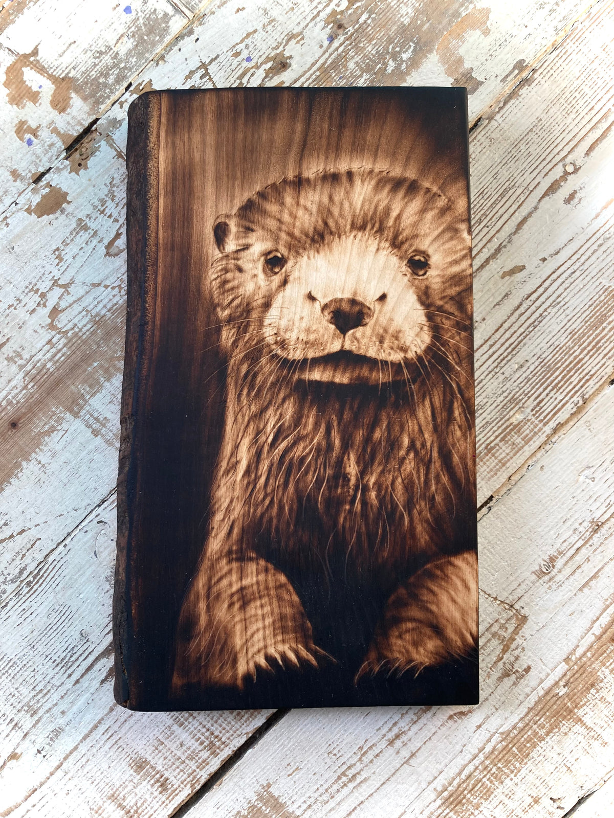 Dark Otter
