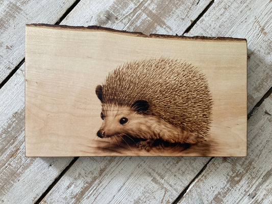 Hedgehog