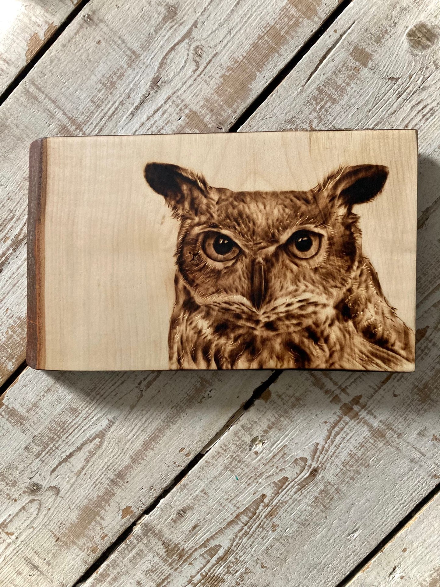 Owl wall decor
