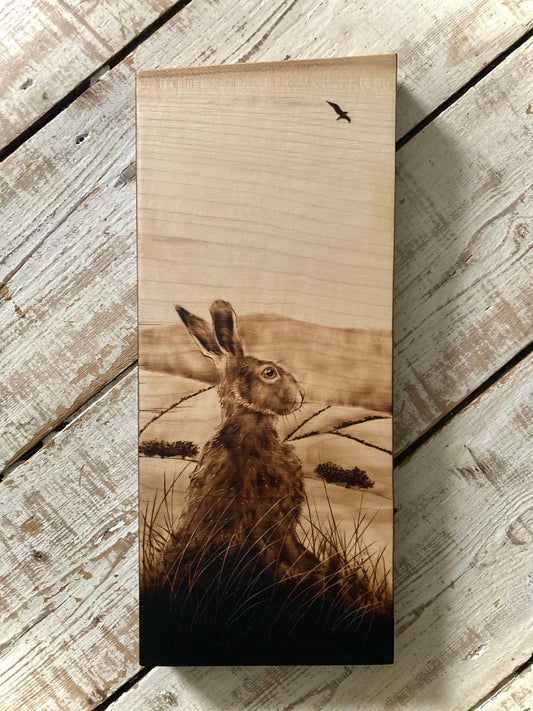 Hare & Hills