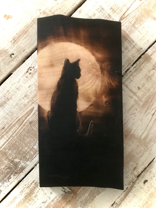 Moonlit Cat
