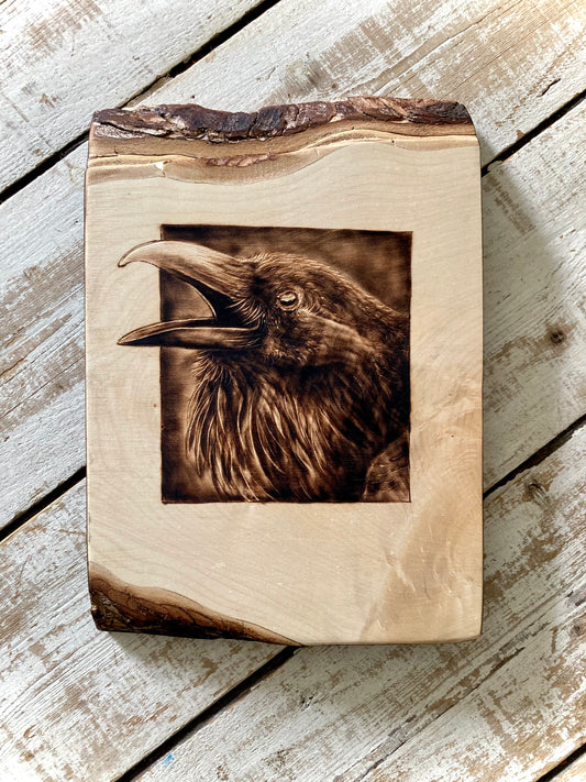 Raven at the window