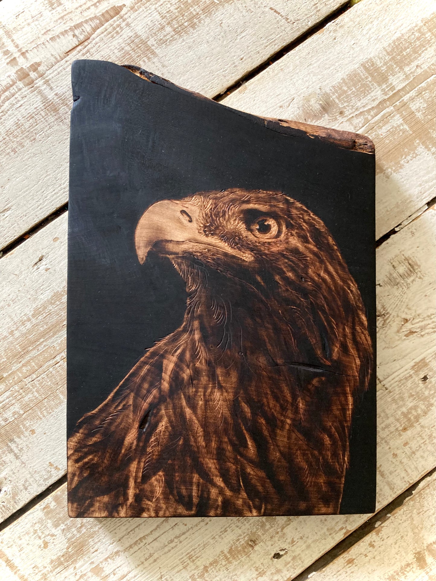 Golden Eagle