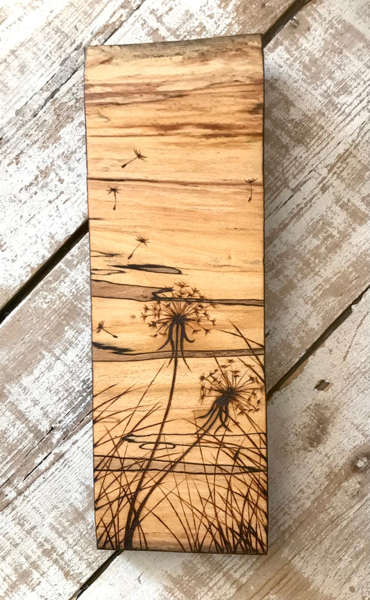 Tall Thin Dandelions