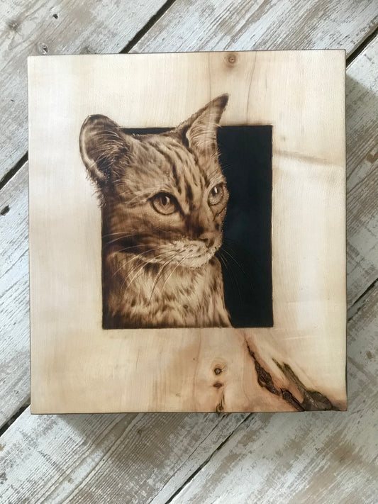Framed Cat