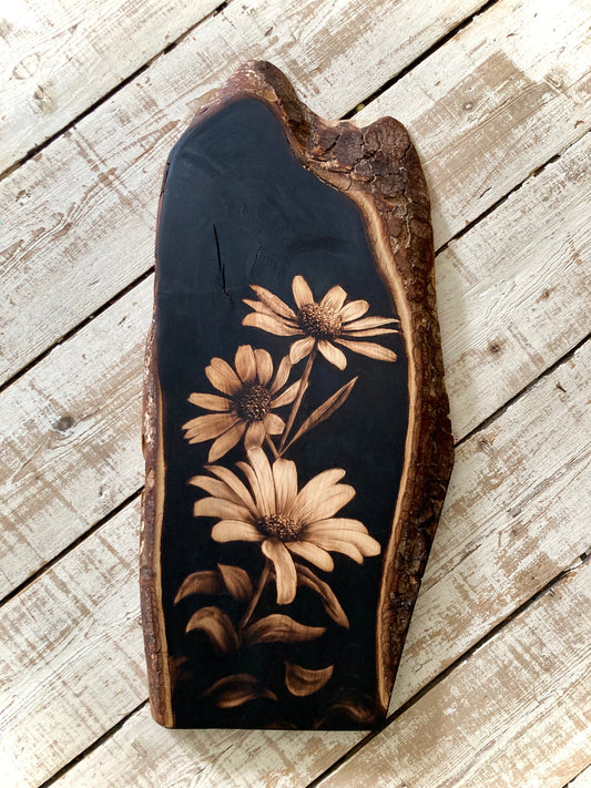 Dark Daisies