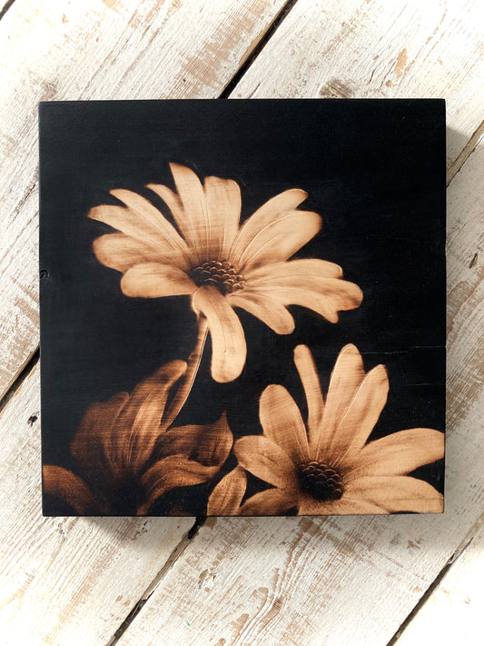 Dark Daisy