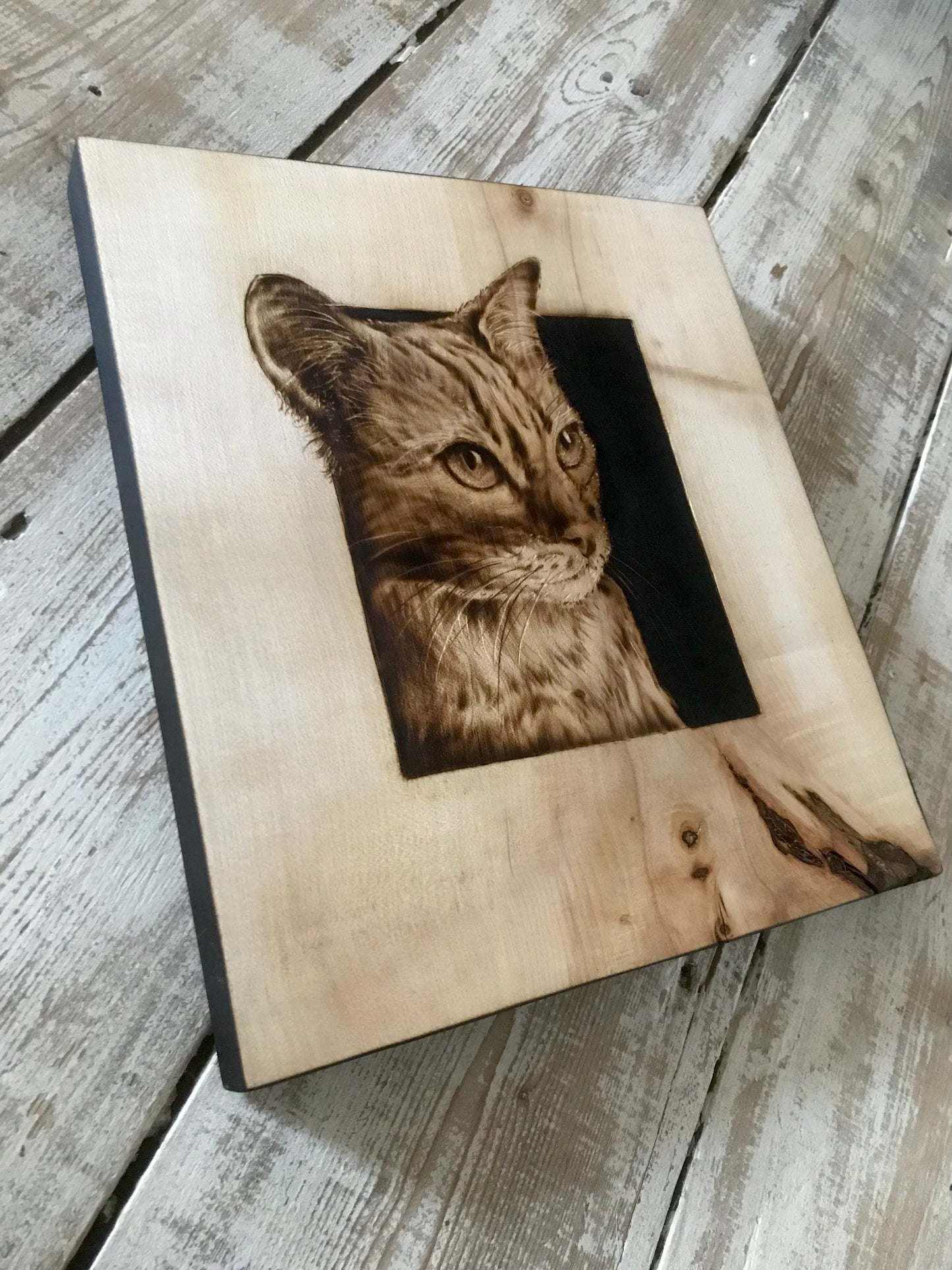 Framed Cat