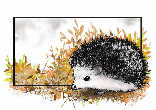 Hedgehog A4 mounted print
