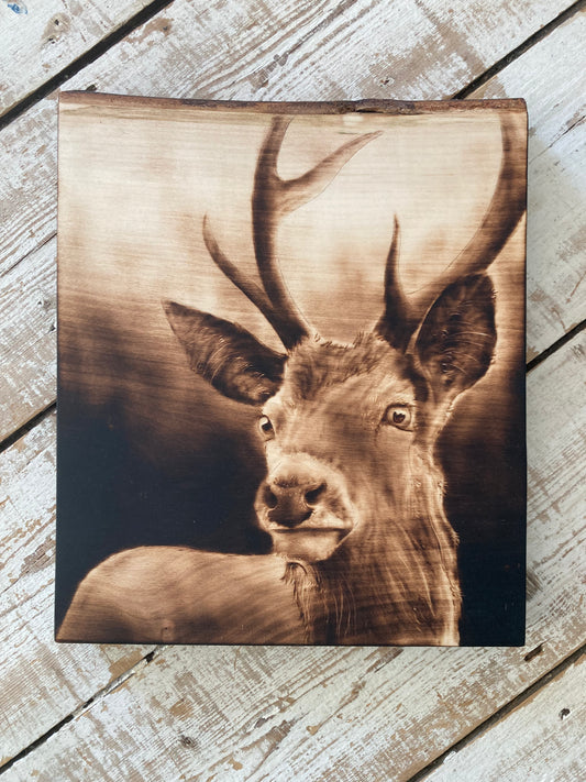 Stag wall decor